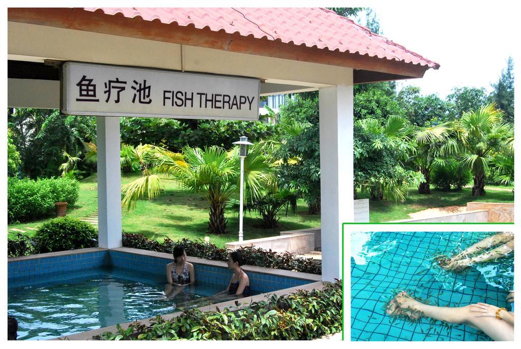 Tienyow Grand Hotel Haikou  Rom bilde